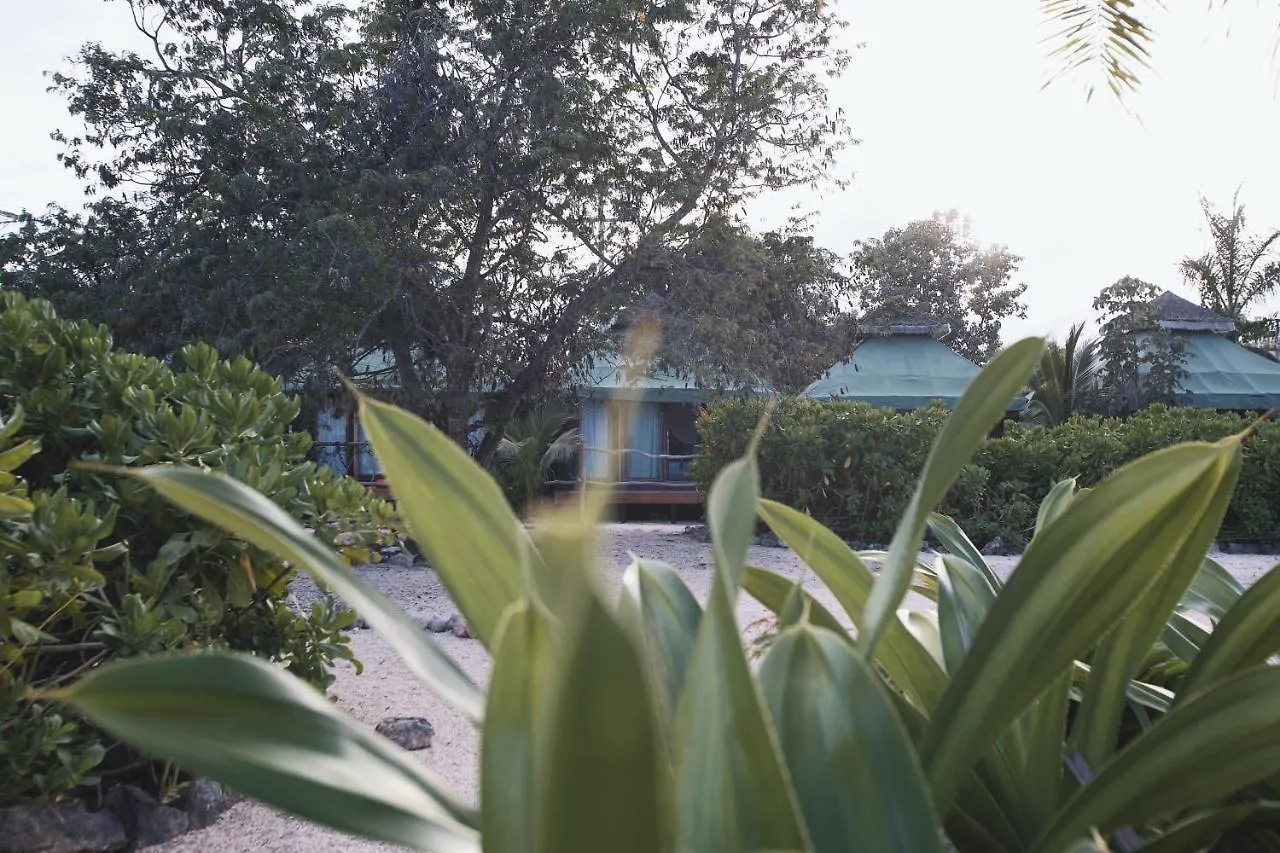 Nunum - Luxury Tenting Villa Tulum